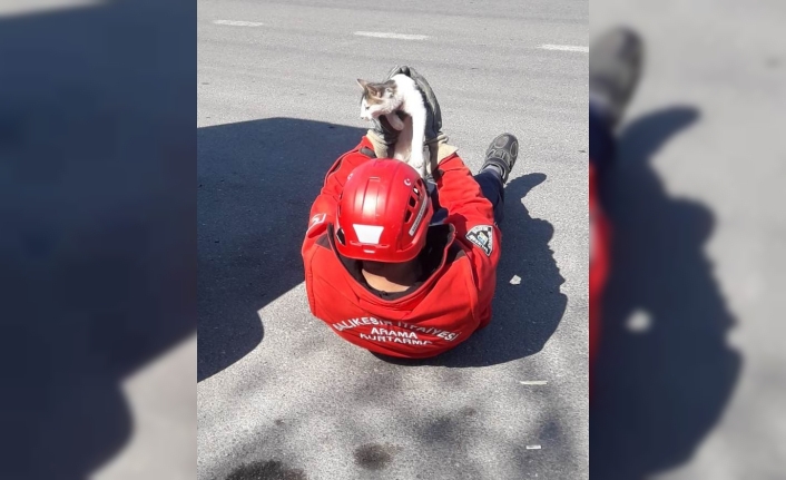  Kurtarılan Kedi