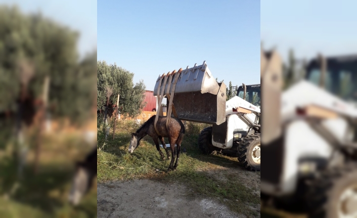  Oto Yıkama İstasyonunun Kanalına Düşen Atı İtfaiye Çikardi