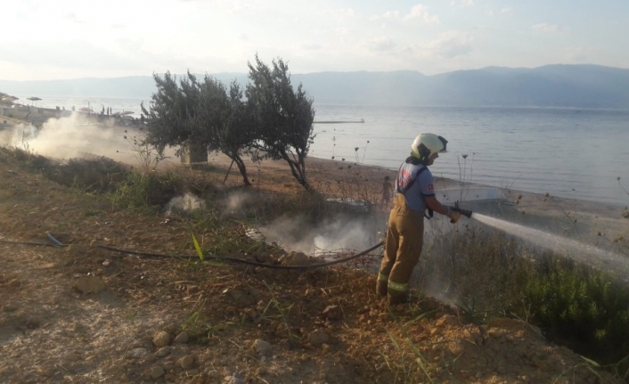  Pelitköyde Ot Yangını