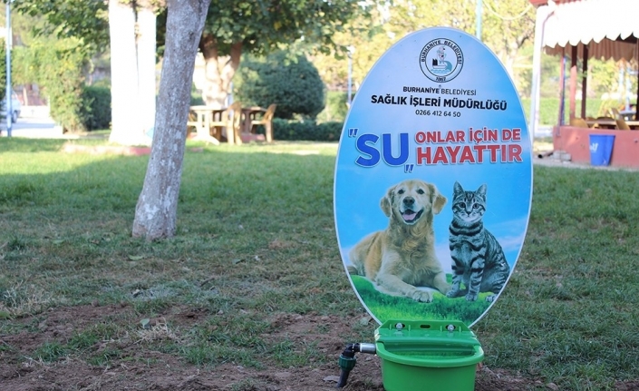  Hayvanlara Suluk