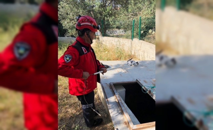  Burhaniye İlçesinde Boş  Su Deposuna Düşen Kediyi İtfaiye