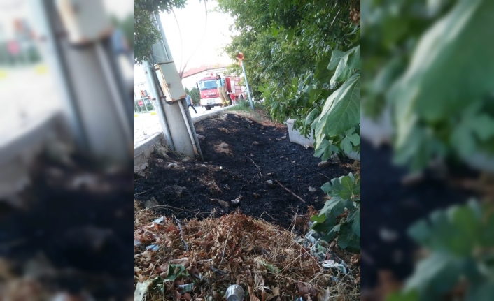 Balıkesir’in Burhaniye ilçesinde, sabahın erken saatlerinde çıkan trafo yangını korkuya