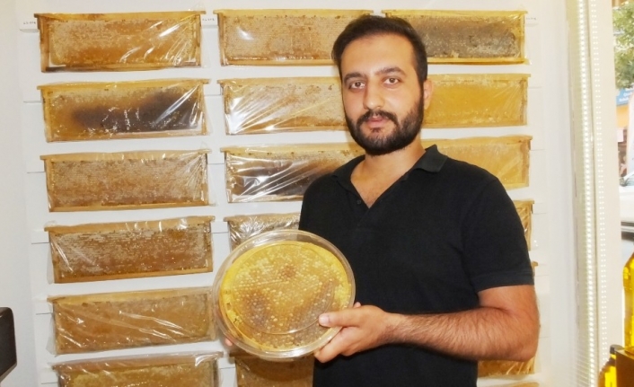 Hamithan Aydın