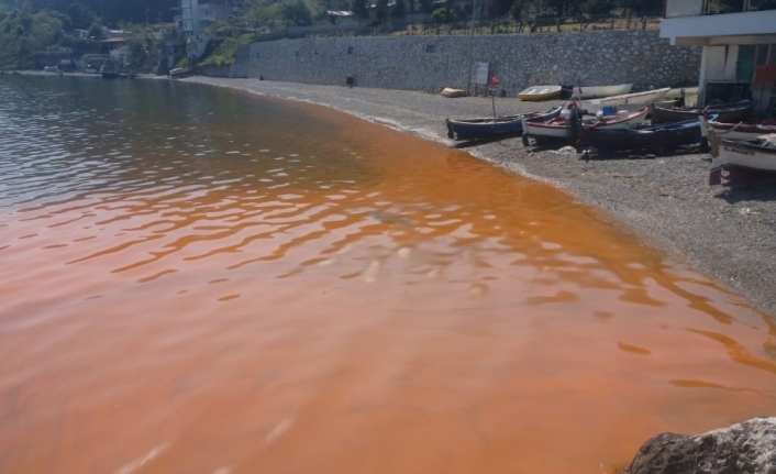 Bursa’nın Mudanya ilçesinde deniz yüzeyinin kahverengine dönüşmesi, kimyasal atık veya