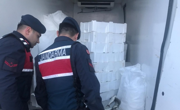Bursa’da jandarma ekipleri, kaçak balık avcılığı yapan 6 kişiyi yakaladı.Edinilen