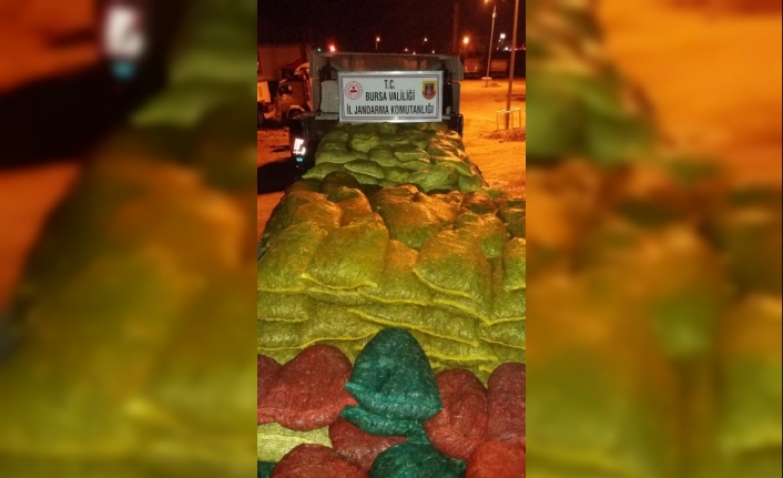 Bursa’nın Karacabey ilçesinde jandarma tarafından yapılan operasyonda 25 ton kaçak