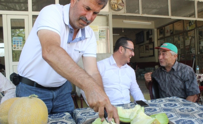  Bursa'nın İki Köyünde Yetişen Kavunun Hasadı Başladı
