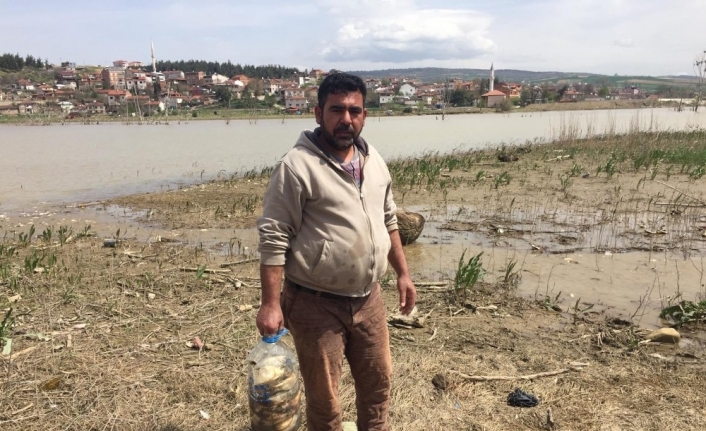 Bursa’nın İnegöl ilçesindeki Boğazköy barajında sular çekilince on binlerce balık