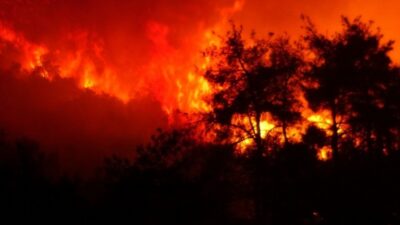  Bursa’nın Gürsu İlçesinde Ormanlık Alanda Çikan Ve 40 Kişilik