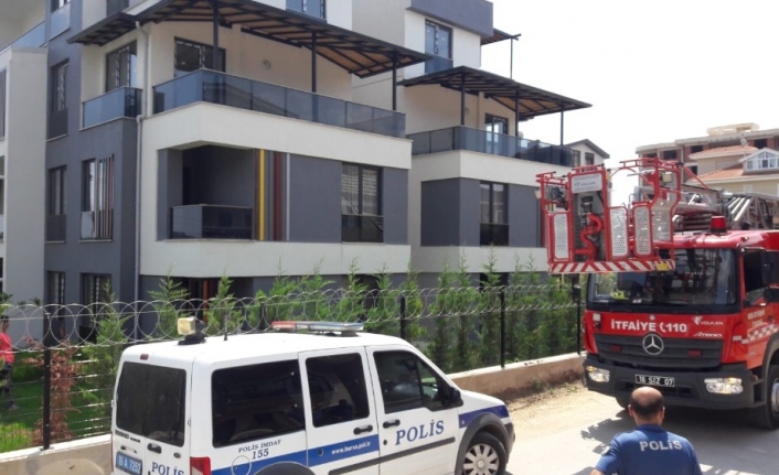 Bursa’da Kimsenin Yaşamadığı Evin Camına Sıkışan Karga İtfaiye Ekipleri Tarafından