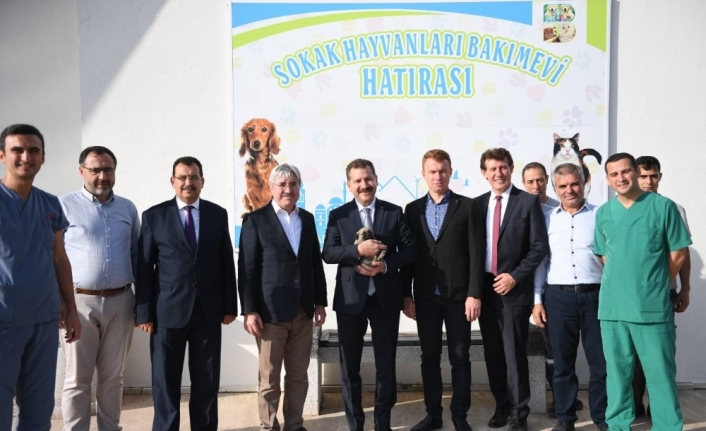 İvrindi Hayvan Barınağı Ve Rehabilitasyon Merkezi'nde İncelemelerde Bulunan Balıkesir Büyükşehir