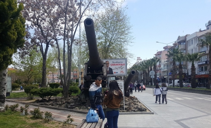 Çanakkale’de, 18 Mart 1915 Çanakkale Savaşlarında kullanılan top bir kedi