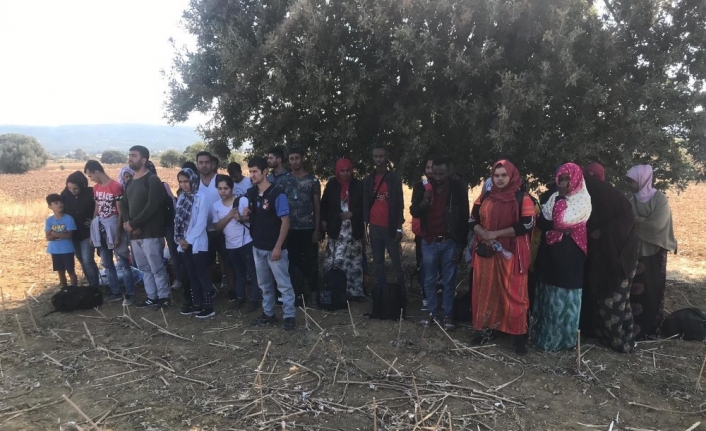  Çanakkale'nin Eceabat İlçesinde, Eceabat İlçe Jandarma Komutanlığı Tarafından Yapılan