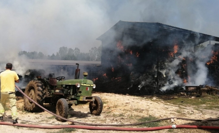 Çanakkale'nin Çan İlçesine Bağlı Çakilköy'de Bir Damın Samanlığında Bulunan 5