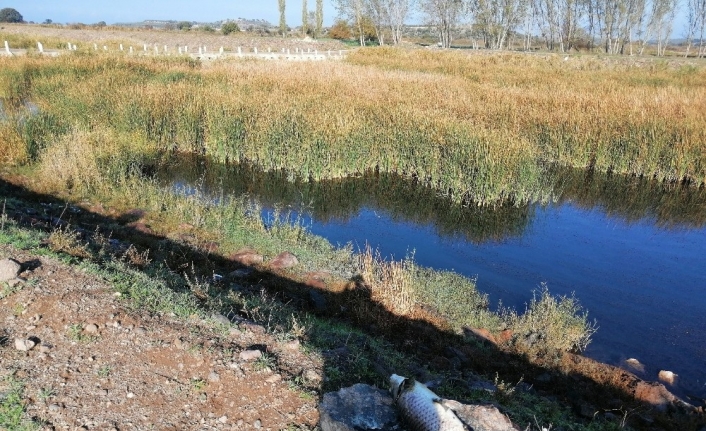  Çanakkale'nin Ayvacık İlçesine Bağlı Tuzla Köyü'nden Geçen Tuzla Çayi'nda