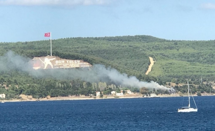  Tarihi Gelibolu Yarımadası'ndaki Kilitbahir Köyündeki Ormanlık Alanda Başlayan Yangına