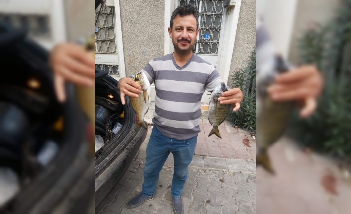  İlçede Voli Avcılığı Yapan İsmail Uslu'nun Ağlarına Sabah Saatlerinde