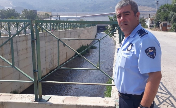  Gemlik İlçesinde Çarşi Deresinde Meydana Gelen Kirliliğin Sebebi Bulundu.