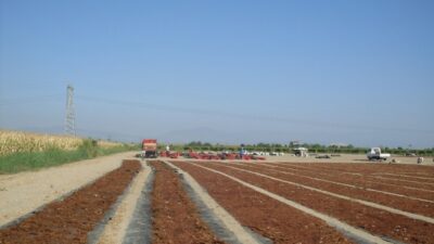  Türkiye’nin Üretim Ve İhracatinda Dünya Lideri Olduğu, Geleneksel İhraç