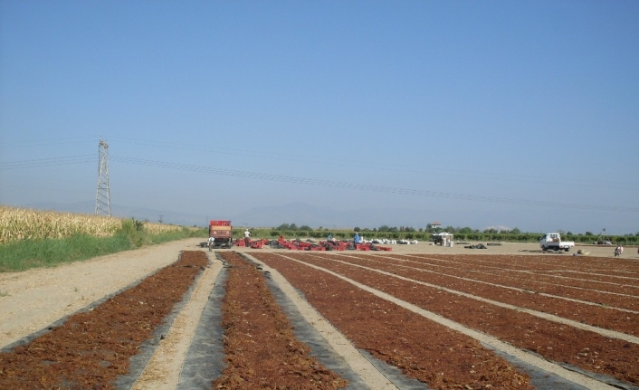  Türkiye’nin Üretim Ve İhracatinda Dünya Lideri Olduğu, Geleneksel İhraç