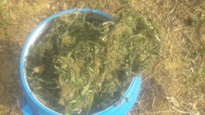  Bursa'da Jandarma Ekipleri Ceviz Bahçesinde Bidonlarla Toprağa Gömülü 10