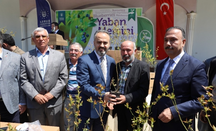 Bursa Büyükşehir Belediyesi, Gürsu, Orhaneli, İnegöl Büyükorhan, Kestel ve İznik’te