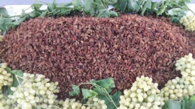  Türkiye, Üretim Ve İhracatinda Dünya Lideri Olduğu Çekirdeksiz Kuru