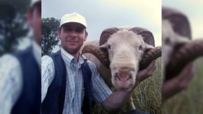 Türkiye’de Küçükbaş Hayvan Bakan Çobanlar Büyük Marketlerin Ucuz Kurbanlık Satmasını