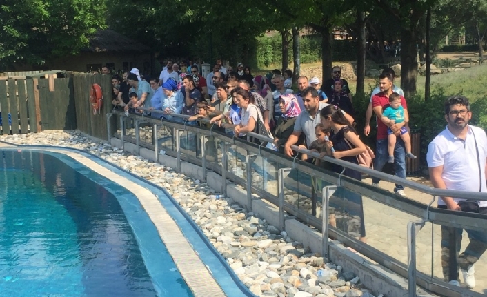 Bayram tatilini fırsat bilen yerli ve yabancı turistler, Bursa Zoo