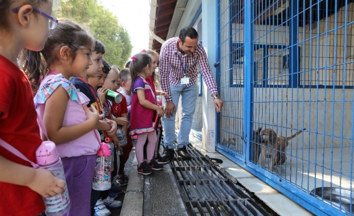  4 Ekim Dünya Hayvan Hakları Günü’nde Nilüfer Belediyesi Hayvan