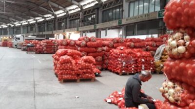  Türkiye'nin En Önemli Sarımsak Üretimi Yapılan Yerlerinden Olan Kastamonu'nun