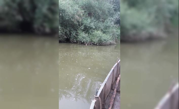 Bursa’nın Karacabey ilçesine bağlı Sazlıca kırsal mahallesinde 4 gündür haber