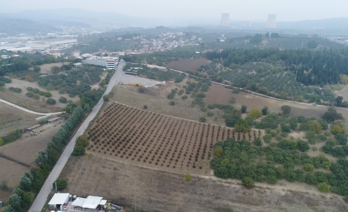  Bursa’da Kimliği Dolandırıcıların Eline Geçen 75 Yaşındaki Yaşlı Adamın