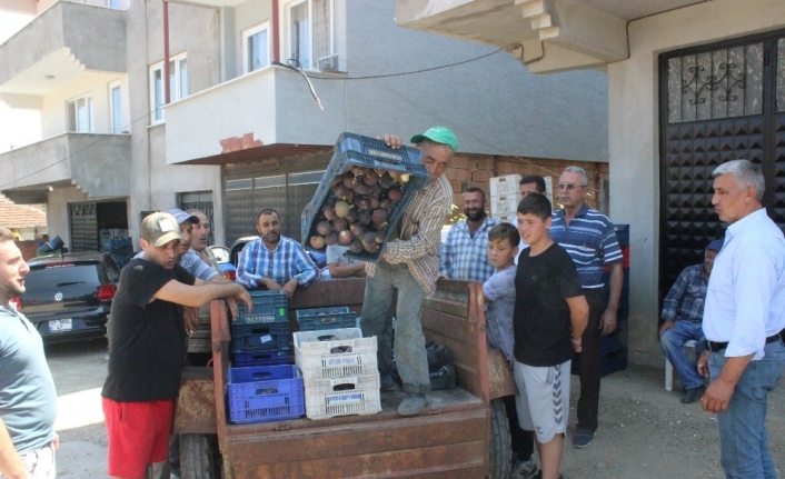  Dünyada Yüzde 90'ı Bursa'da Yetişen Siyah İncir, Şirketlerin Fiyat