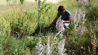  Balıkesir’in Havran İlçesinde Kazdağları Eteklerinde Bilimsel Çalişmalara Ev Sahipliği