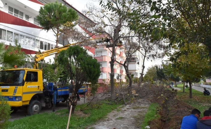  Balıkesir’in Edremit Belediyesi Parklarda Işiklandirma Çalişmalarina Devam Ediyor.