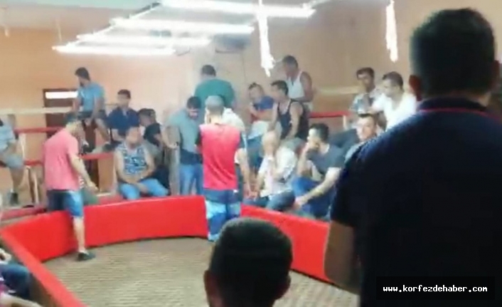 Polis, horozlara el koydu 