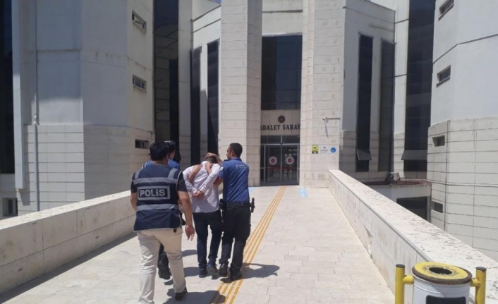 Balıkesir’in Edremit ilçesinde pitbul cinsi köpeği güvenlik görevlilerinin üzerine salan