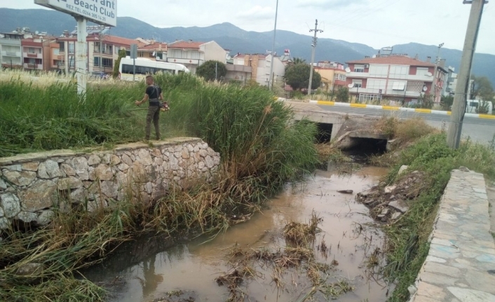 Balıkesir’in Edremit İlçesinin Akçay Mahallesi’nde bulunan Pina Deresi ve bağlantılı