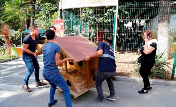 Balıkesir'in Edremit İlçesinde İlk Kez Düzenlenen '4 Ekim Hayvanları Hayvanları