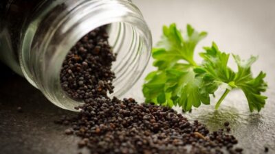 Ege Bölgesi’nden 149 ülkeye hububat, bakliyat, yağlı tohumlar, bitkisel yağ