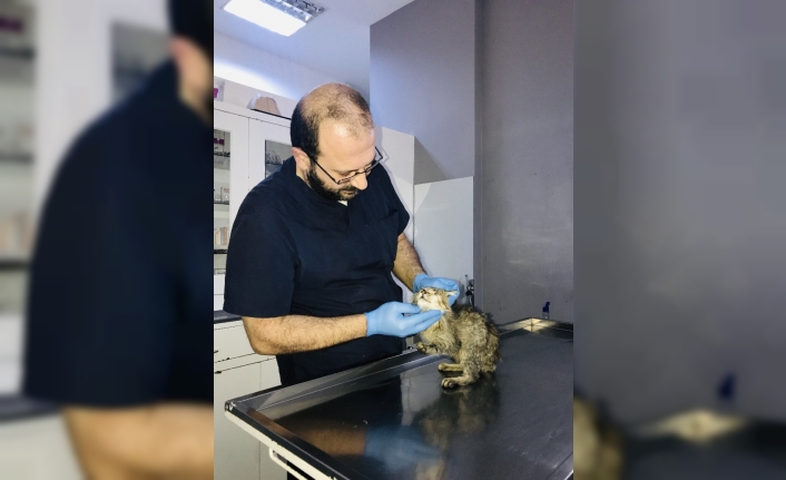  Çanakkale’de Şehri Ortadan İkiye Bölen Sarıçay Bölgesinde Son Zamanlarda