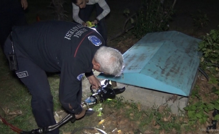  Bursa’da Bir Hastanenin Elektrik Kuyusunda Mahsur Kalan Kedi 600