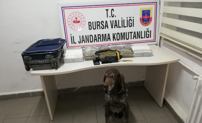 Bursa’da jandarması tarafından yapılan uyuşturucu operasyonunda piyasa değeri 200 bin