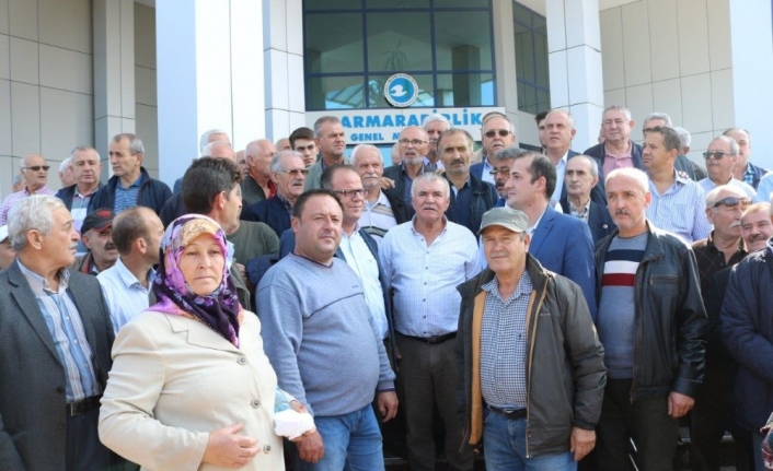  Erdek Zeytin Tarım Satış Kooperatifi, 300 Civarındaki Üretici Ortağını