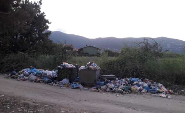  Balıkesir'in Oksijen Deposu Kapıdağ Yarımadası'nda Bulunan İlçesi Erdek'te Çöp
