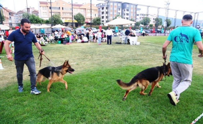  Nilüfer Belediyesi İle Köpek Irklari Ve Kinoloji Federasyonu İş