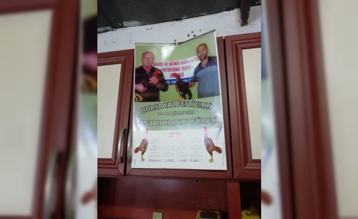 Bursa’da bir adreste horoz dövüşü yapıldığı yönündeki ihbar üzerine baskın