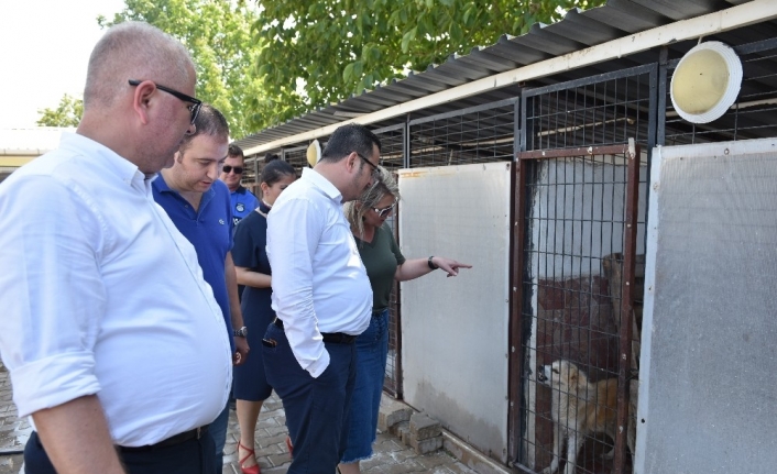  Mustafakemalpaşa Belediyesi, Hayvanseverleri Sokak Hayvanları Rehabilitasyon Merkezi'nde Buluşturacak.