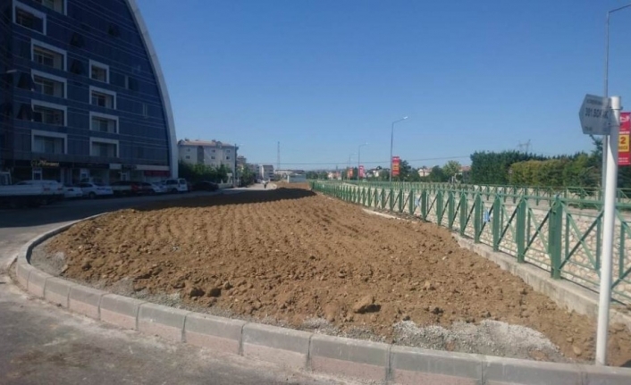  Her Yıl Ağaçlandırma Kampanyaları Düzenleyen Nilüfer Belediyesi, Önümüzdeki Yıl